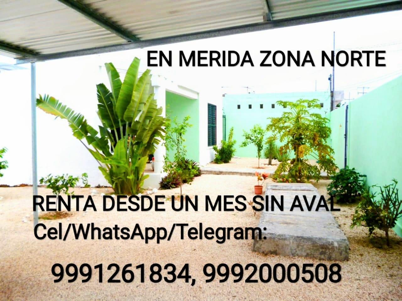 En Merida ZONA NORTE Renta temporal sin aval Con renta y deposito damos llaves